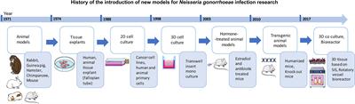 Tissue Models for Neisseria gonorrhoeae Research—From 2D to 3D